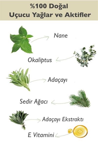 Doğal Roll-on Deodorant Okaliptus & Sedir & Nane & Adaçayı