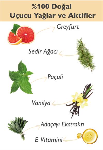 Doğal Roll-on Deodorant Greyfurt & Paçuli & Sedir Ağacı & Vanilya