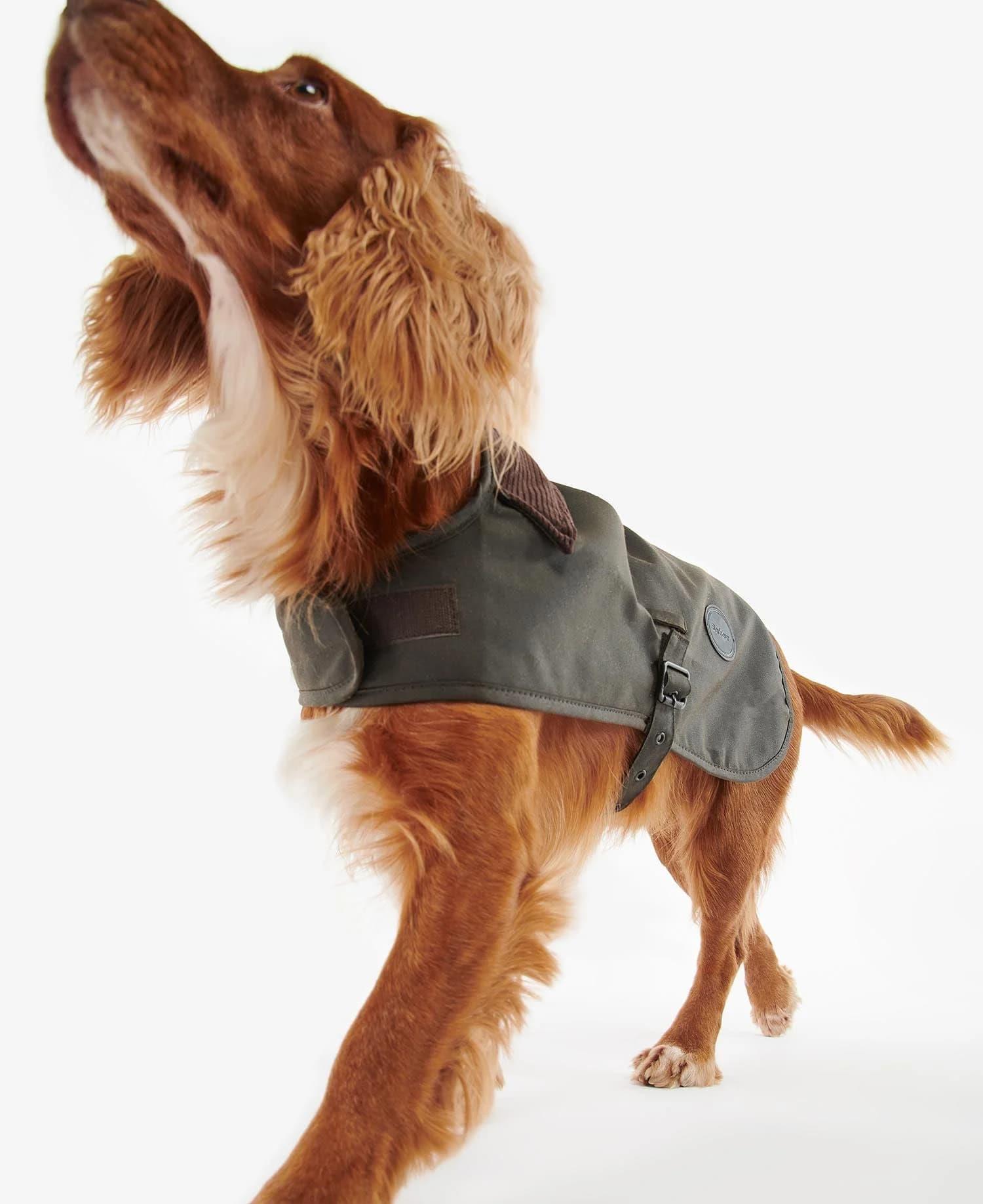 Barbour Yağlı Köpek Kıyafeti OL71 Olive