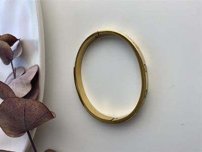 Cartier Gold (Standart boy)