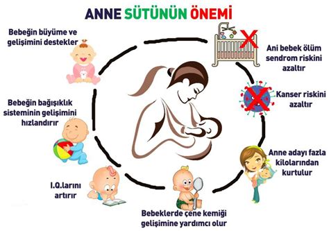 Bebek Bakımında Anne Sütünün Önemi