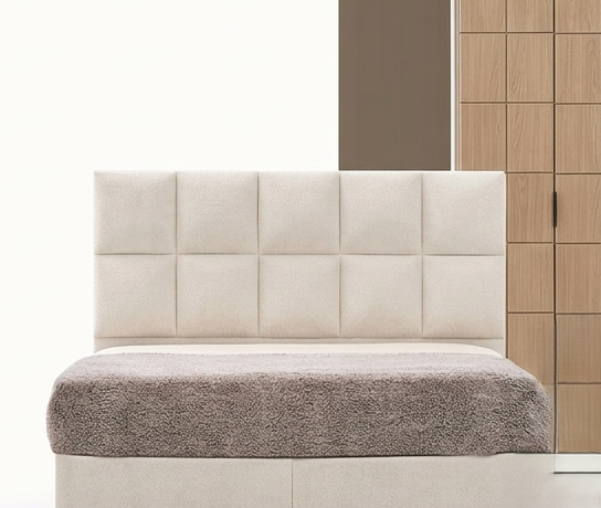 YENİ BURCU BAŞLIK T1