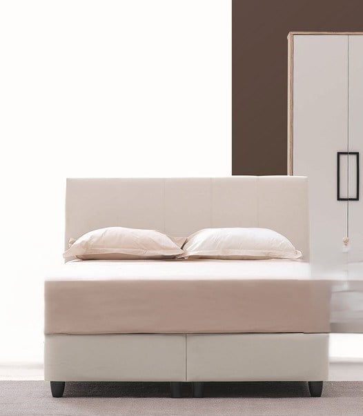 YENİ EKİN BAŞLIK T1