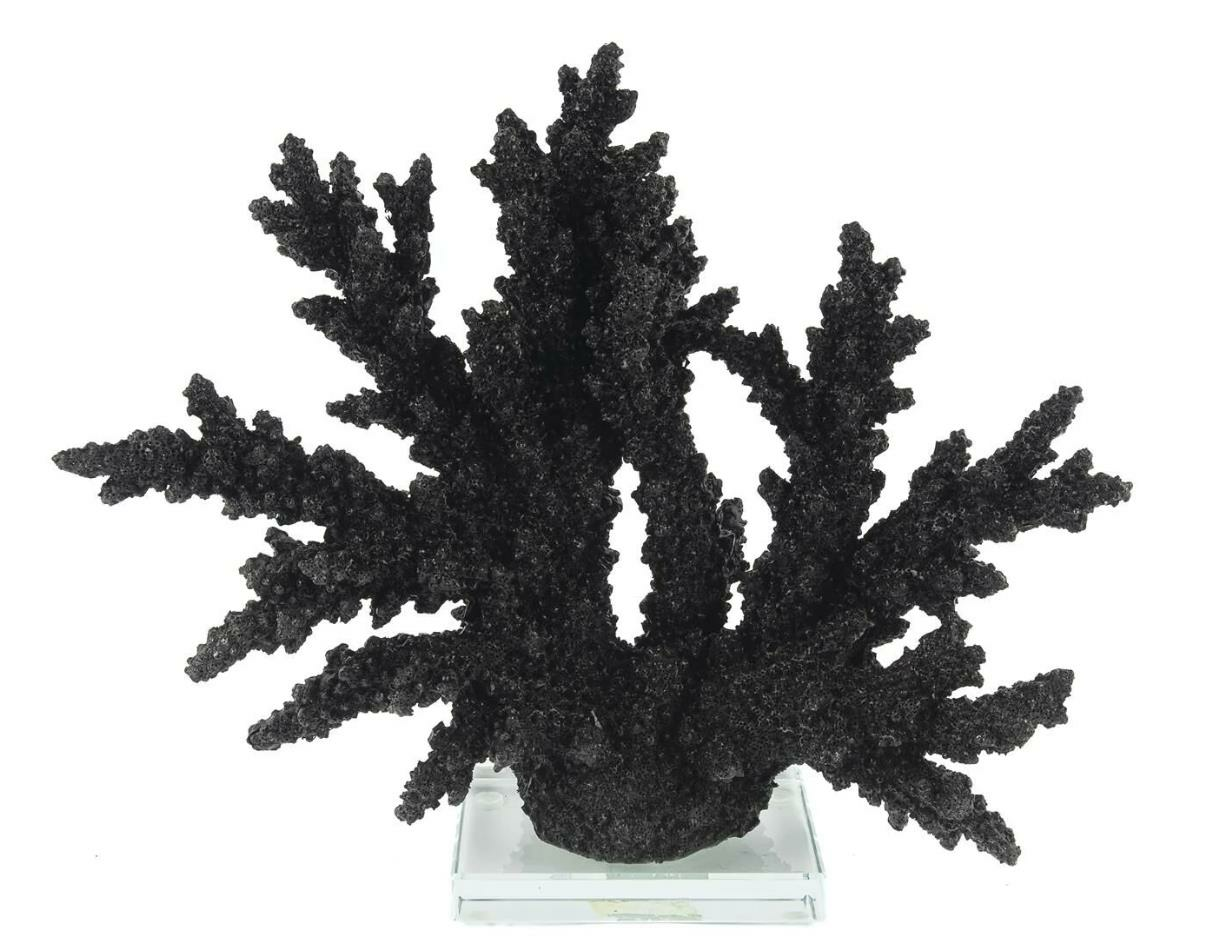 mikasa-moor-35x10x30-cm-siyah-mercan-r-ef0540.png