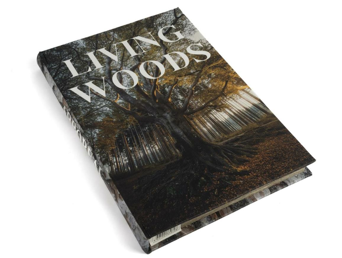 mikasa-moor-35x24x3-cm-living-woods-ki-4787-a.png