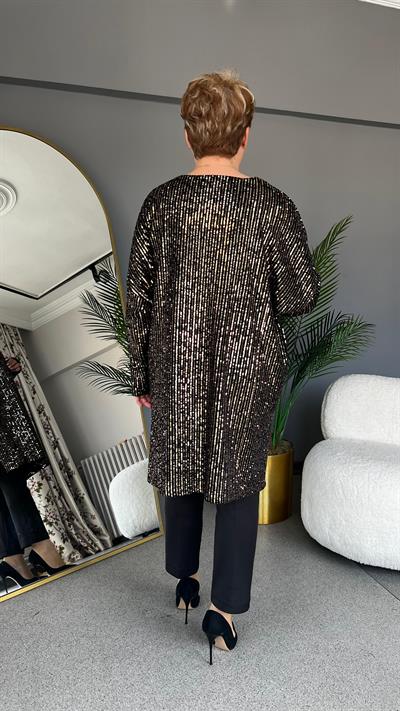 Selma Büyük Beden Kadife Kumaş Üzeri Payetli Elbise