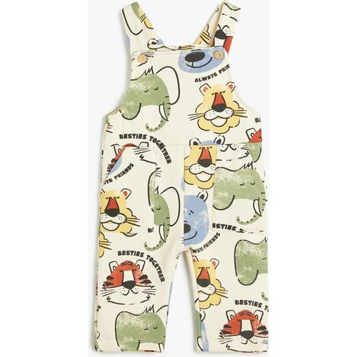 overalls-65ab5e.jpg