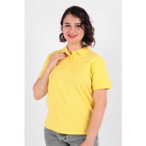 polo-tshirt-2f840d.jpg