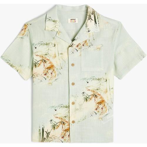 shirts-ss-5af0eb.jpg