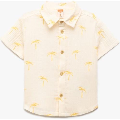 shirts-ss-9eb866.jpg