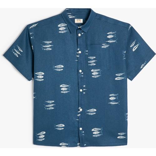 shirts-ss-e83ca5.jpg