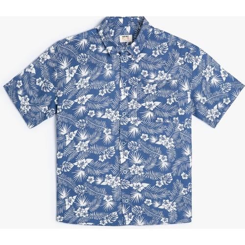 shirts-ss-f78fd8.jpg