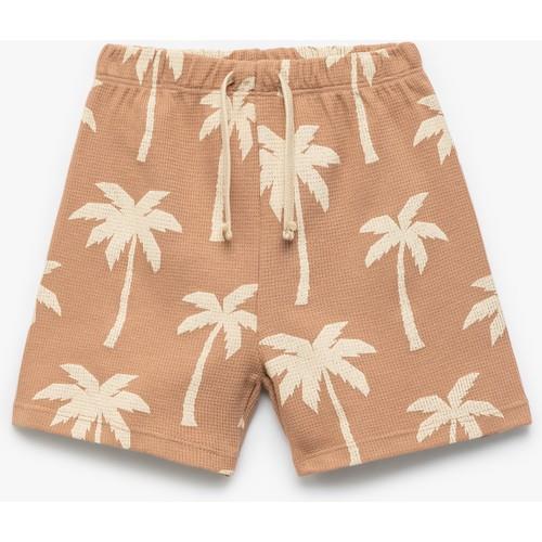 shorts--5cc47.jpg