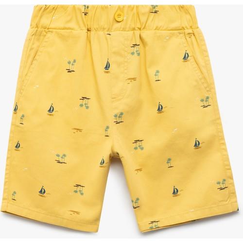 shorts--9384-.jpg