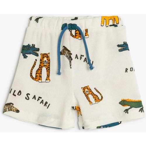 shorts-1-5a93.jpg