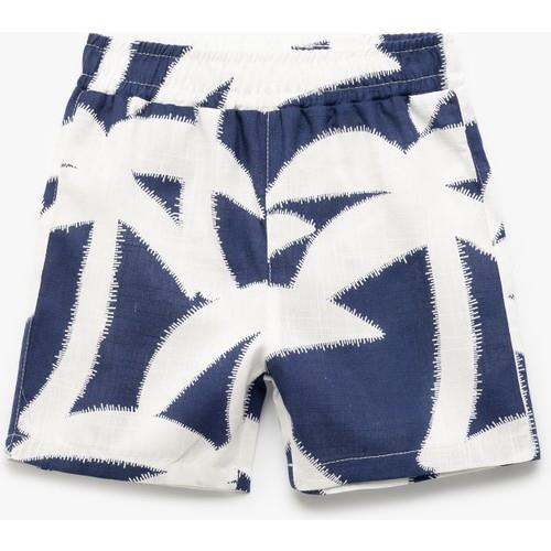 shorts-51-bdb.jpg