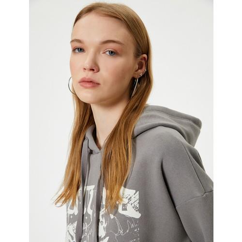 sweatshirts-f54e56.jpg