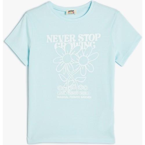 tshirt-ss--6f32f.jpg