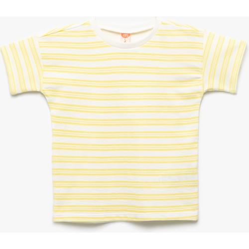 tshirt-ss-0-8d2e.jpg