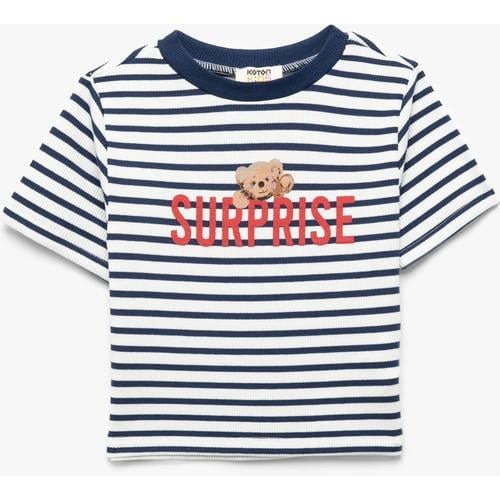 tshirt-ss-1ad895.jpg