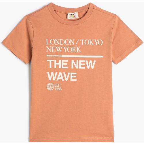 tshirt-ss-44cc4d.jpg