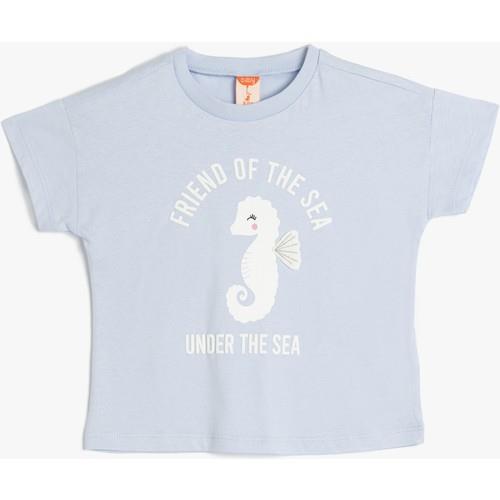 tshirt-ss-62081a.jpg