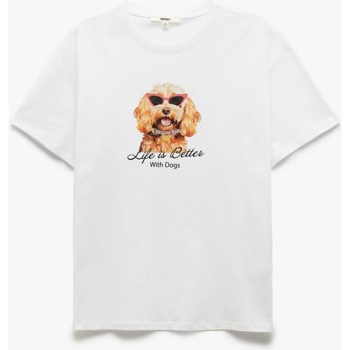 tshirt-ss-7b66-e.jpg