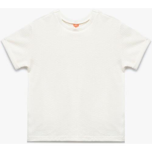 tshirt-ss-7e45-2.jpg