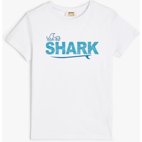 tshirt-ss-80570d.jpg