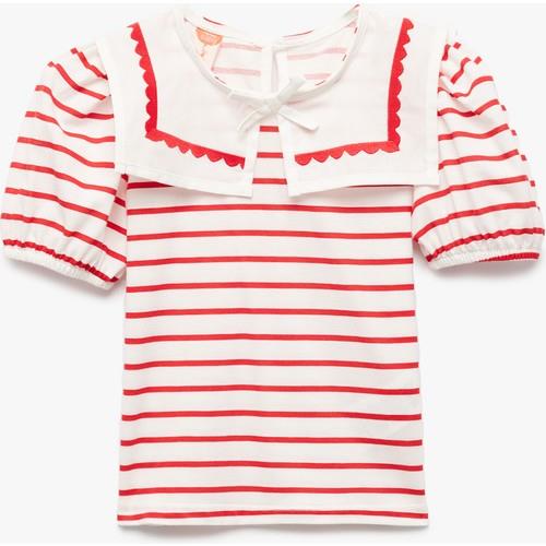 tshirt-ss-94ea27.jpg