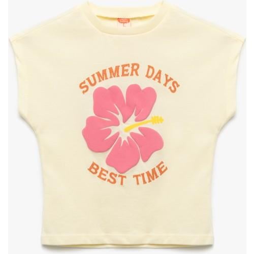 tshirt-ss-99cc61.jpg