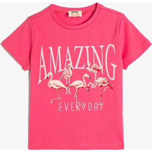 tshirt-ss-b01cf4.jpg
