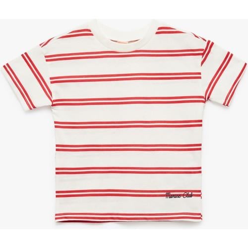 tshirt-ss-e73274.jpg