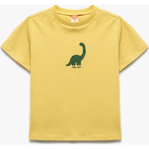 tshirt-ss-ef-4ee.jpg