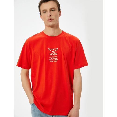 tshirt-ss-ef8572.jpg