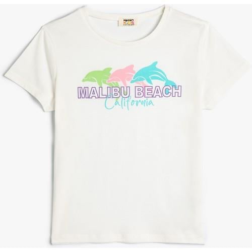tshirt-ss-f880-7.jpg