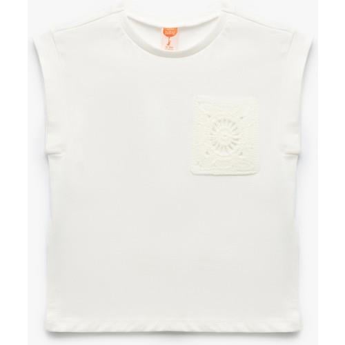 tshirt-ss-fb2918.jpg