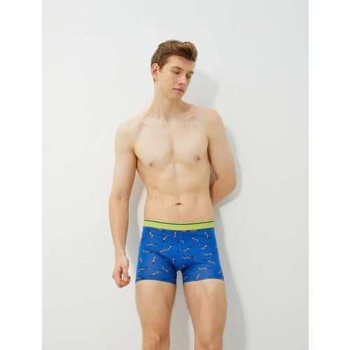 boxers-bsc-8d72ae.jpg
