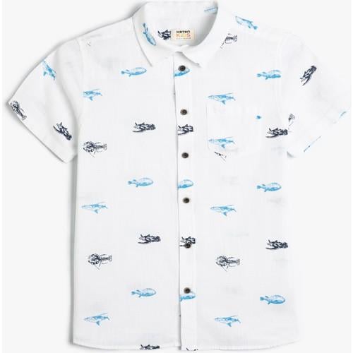 shirts-ss-4fbd3-.jpg