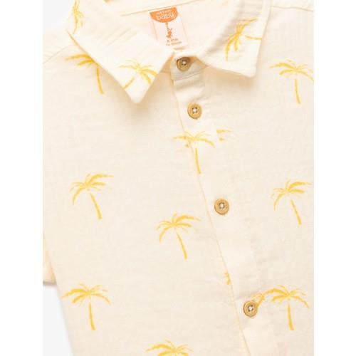 shirts-ss-d6fb-c.jpg