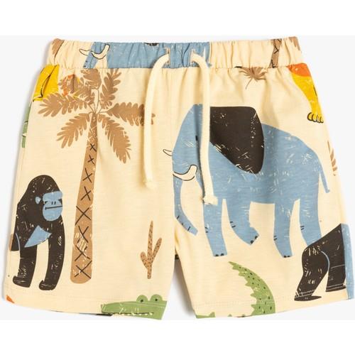 shorts-564c72.jpg