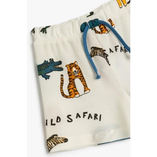 shorts-7ed83a.jpg