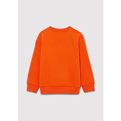 taz-baskili-sweatshirt-2b90-f.jpg