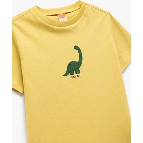 tshirt-ss--1c57-.jpg