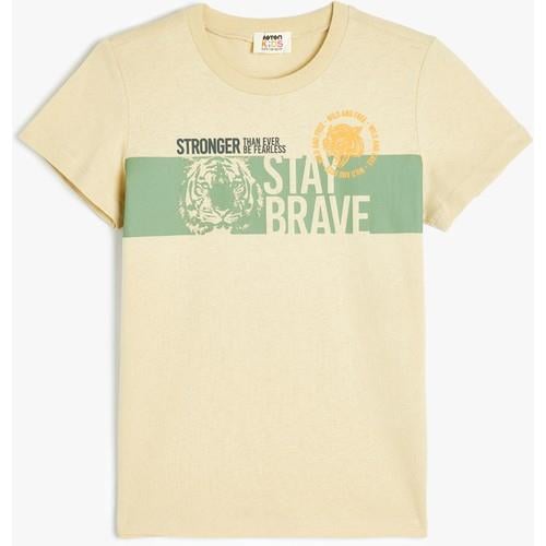 tshirt-ss--2e21-.jpg