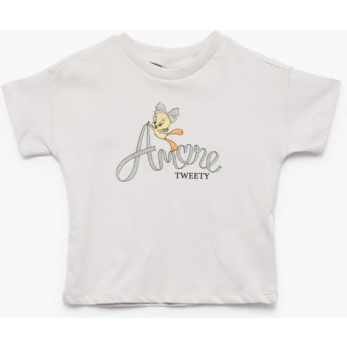 tshirt-ss--481b-.jpg