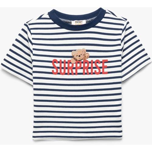 tshirt-ss-1ad895.jpg