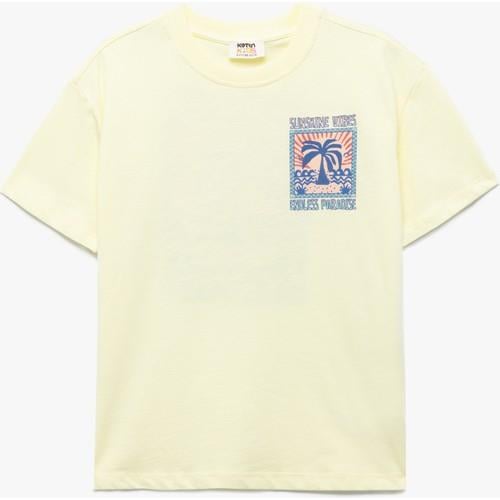 tshirt-ss-1dd39e.jpg