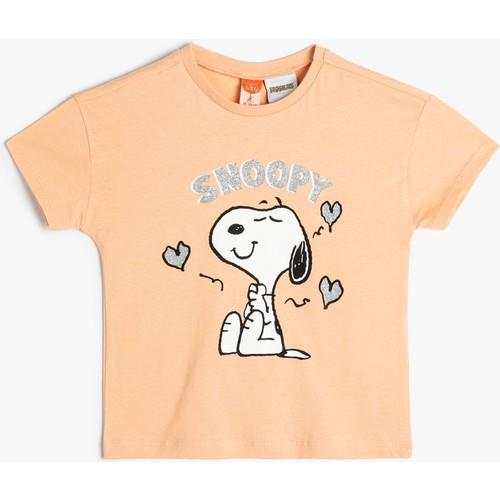 tshirt-ss-2e95b4.jpg