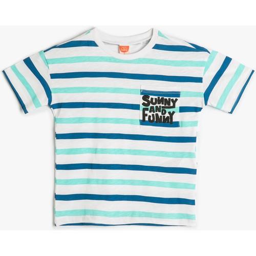 tshirt-ss-322e88.jpg
